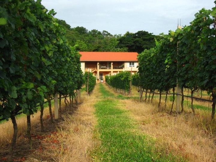 GRANMONTE Wine Cottage Phayayen Exterior foto